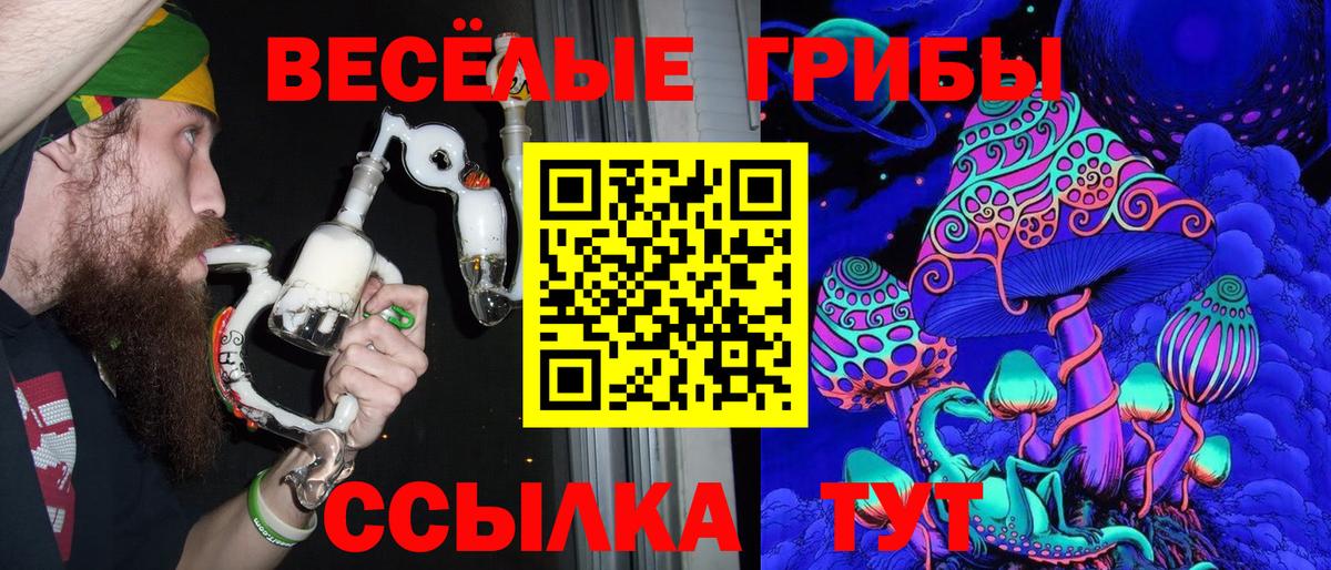 Подольск  Галлюциногенные грибы Cubensis  Вход с VPN 